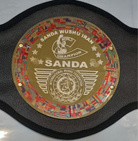 کمربند قهرمانی بوکس کد 127